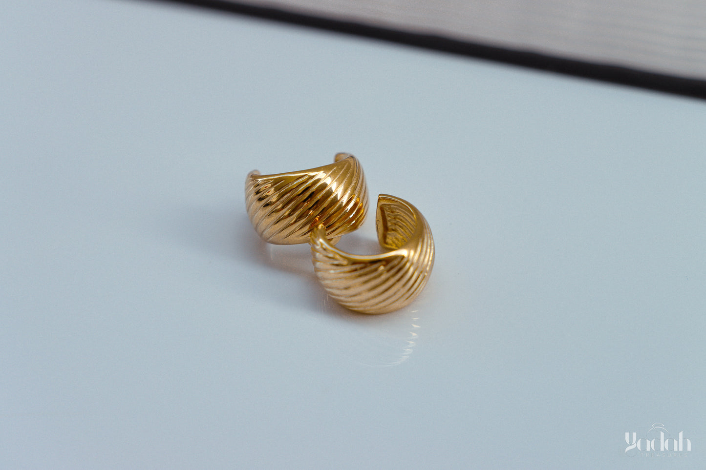 Resplandece Earrings