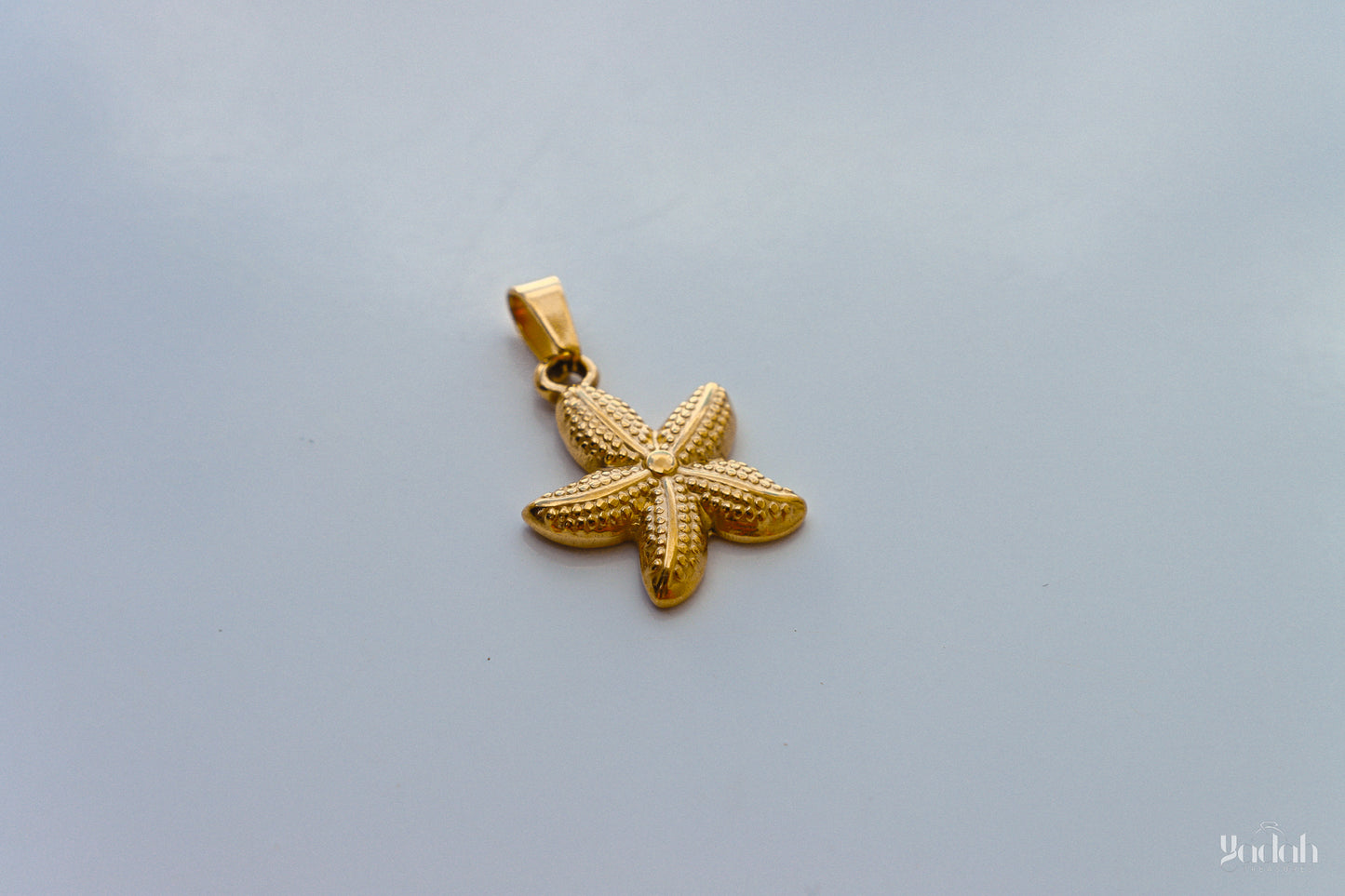 Estrella de Mar Charm