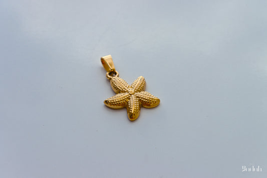 Estrella de Mar Charm