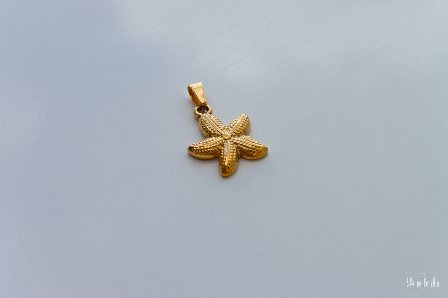Estrella de Mar Charm